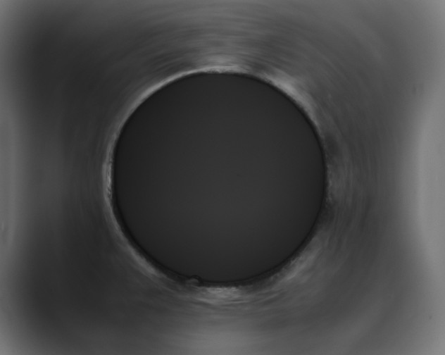 X0000089351383200706291012