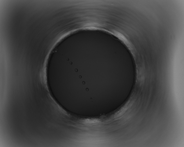 X0000089351384200706291012