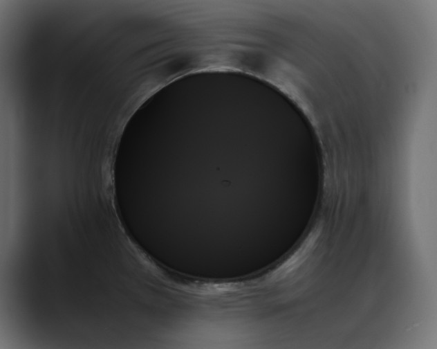 X0000089351385200706291012