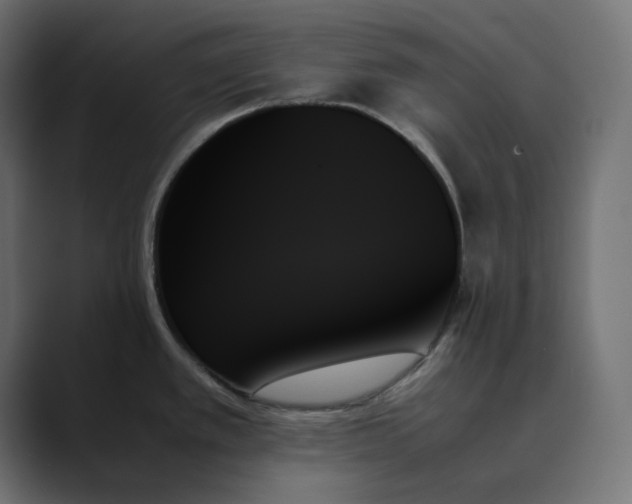 X0000089351389200706291012