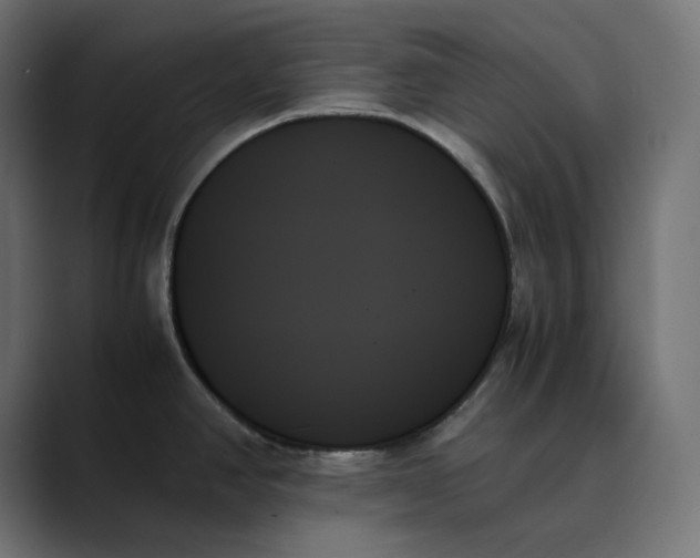 X0000089351390200706291012