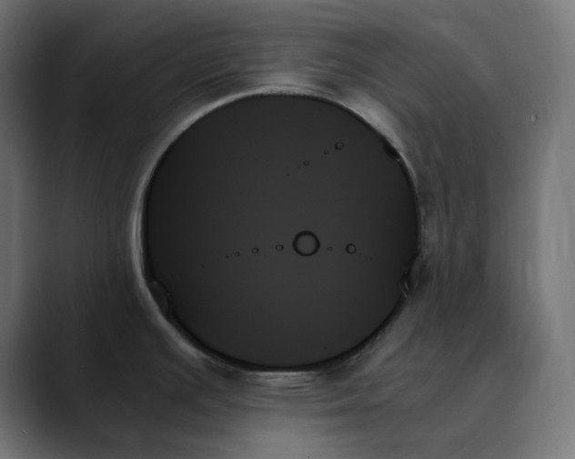 X0000089351391200706291012