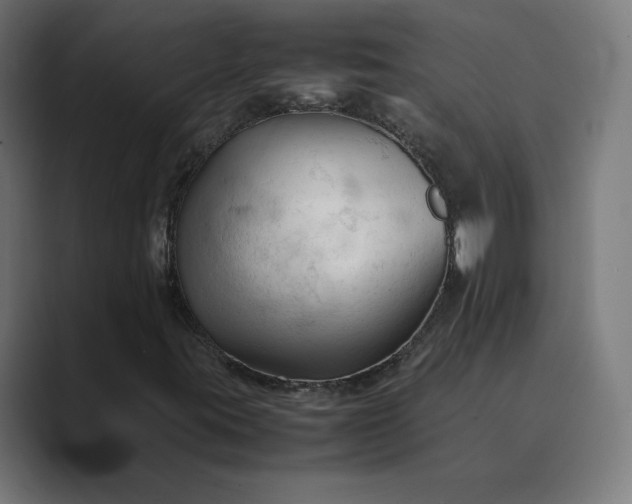 X0000089351395200706291012