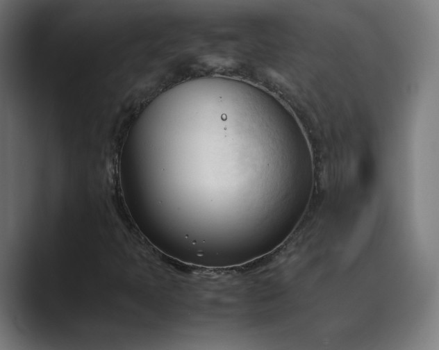 X0000089351397200706291012