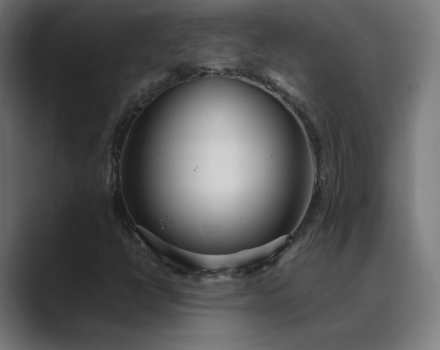 X0000089351398200706291012