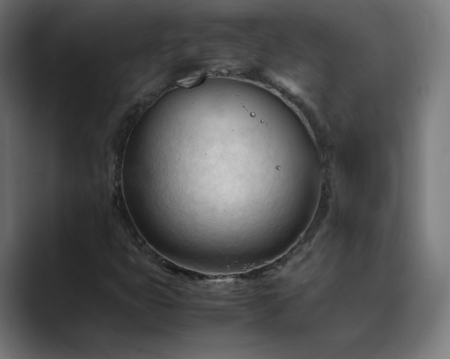 X0000089351399200706291012