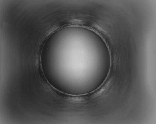 X0000089351401200706291012