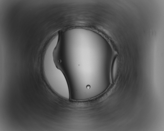 X0000089351402200706291012