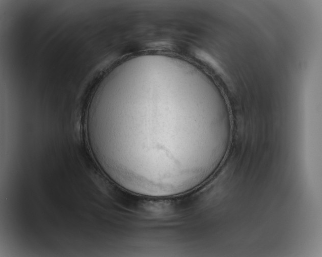 X0000089351403200706291012