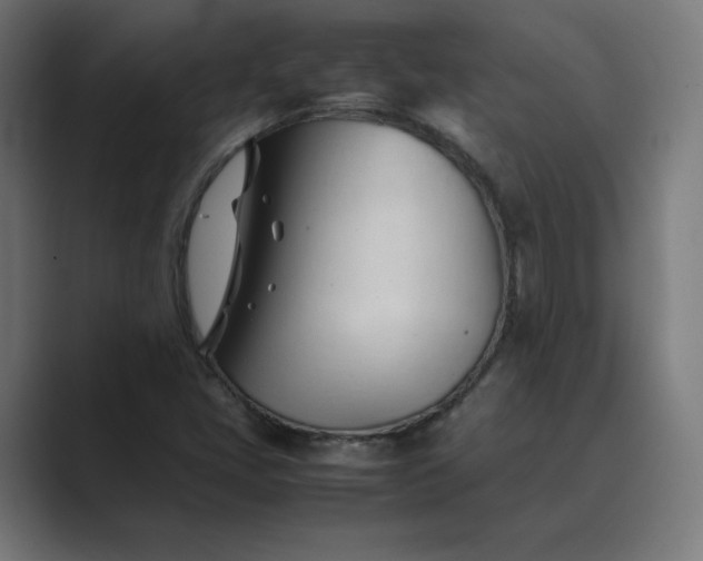 X0000089351405200706291012
