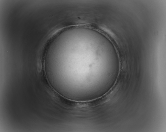 X0000089351407200706291012
