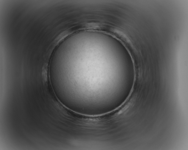 X0000089351409200706291012