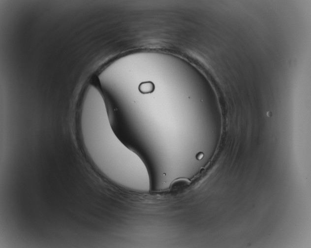 X0000089351410200706291012