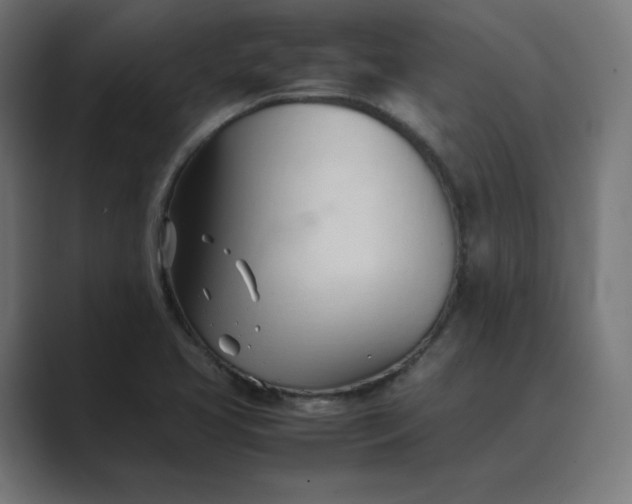 X0000089351413200706291012
