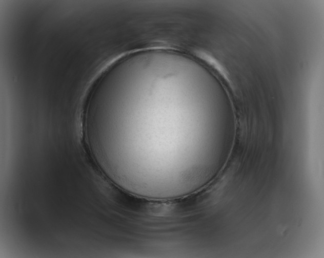 X0000089351415200706291012