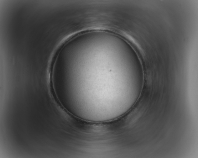 X0000089351416200706291012