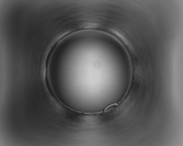 X0000089351418200706291012