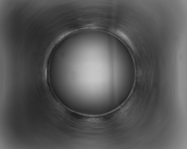 X0000089351419200706291012