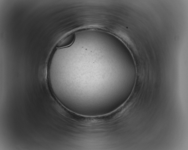 X0000089351420200706291012