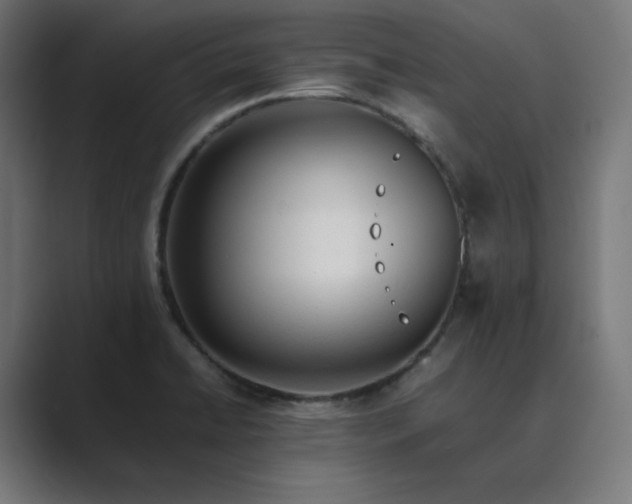 X0000089351422200706291012