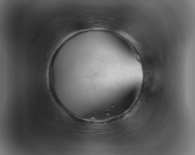 X0000089351423200706291012