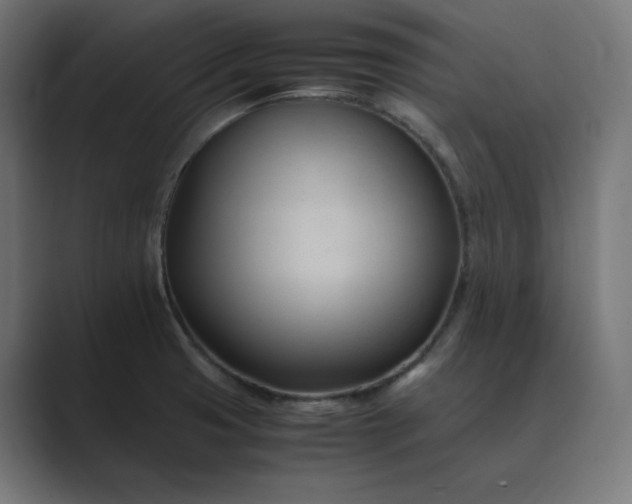 X0000089351425200706291012