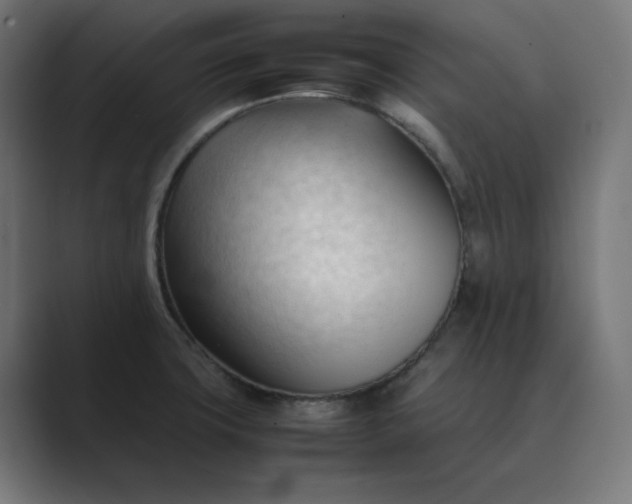X0000089351427200706291012