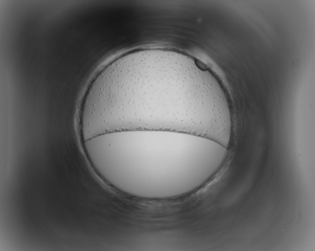 X0000089351429200706291012