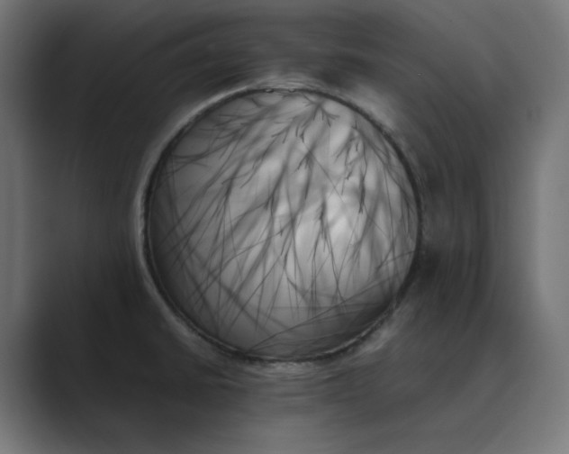 X0000089351430200706291012
