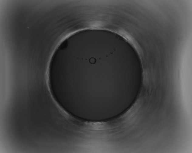 X0000089351432200706291012