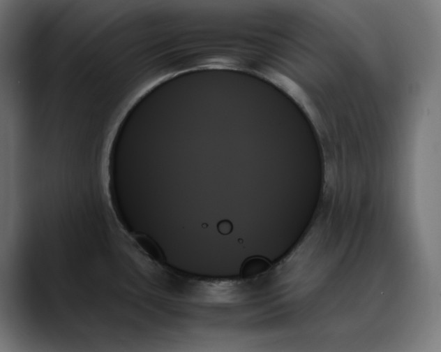 X0000089351435200706291012