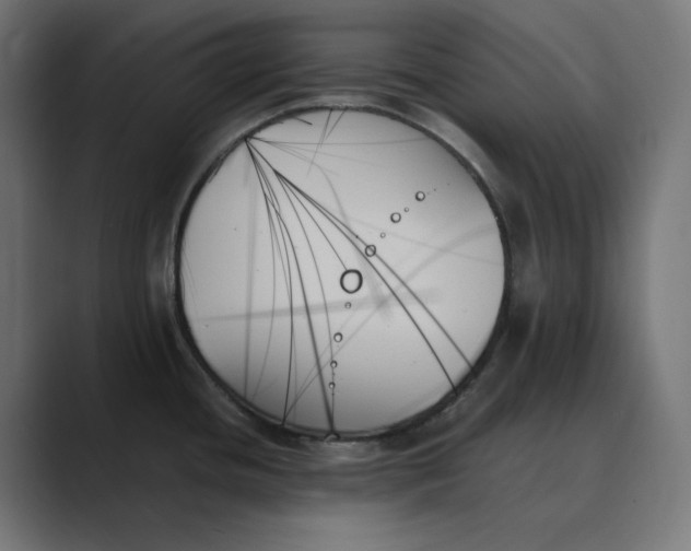 X0000089351436200706291012