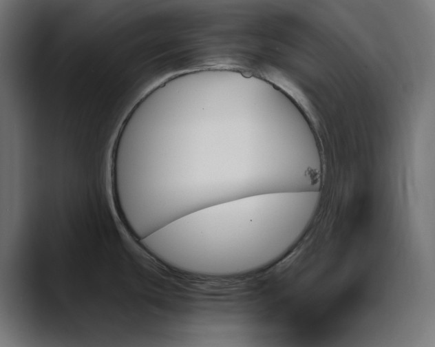 X0000089351439200706291012