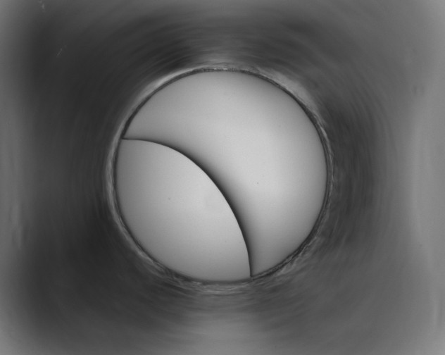 X0000089351440200706291012