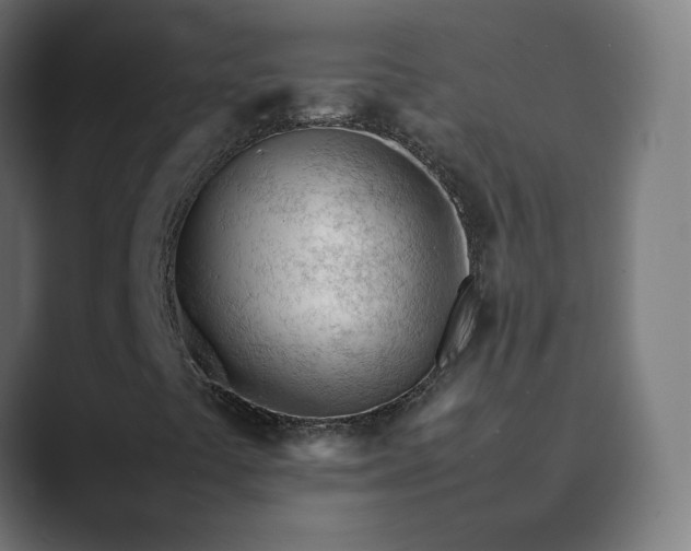 X0000089351441200706291012
