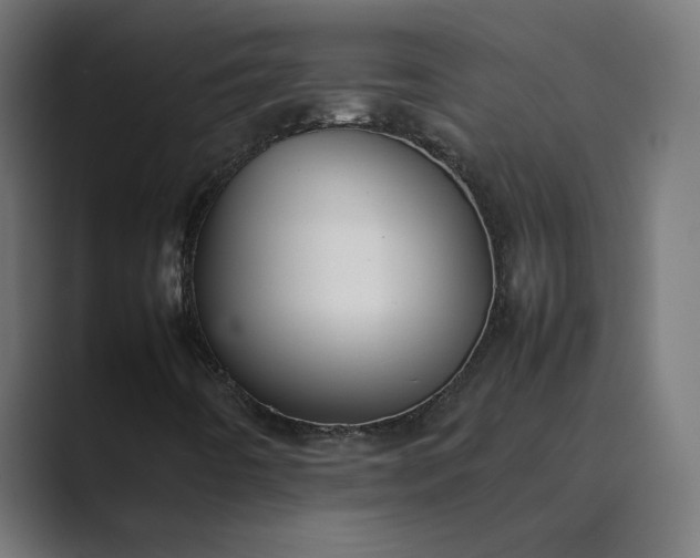X0000089351442200706291012