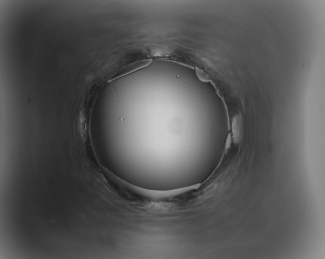 X0000089351443200706291012