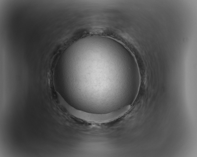 X0000089351445200706291012