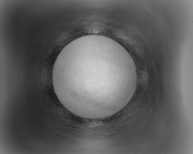 X0000089351446200706291012