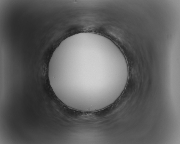 X0000089351447200706291012