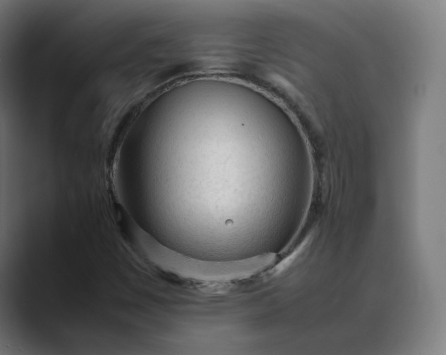 X0000089351449200706291012