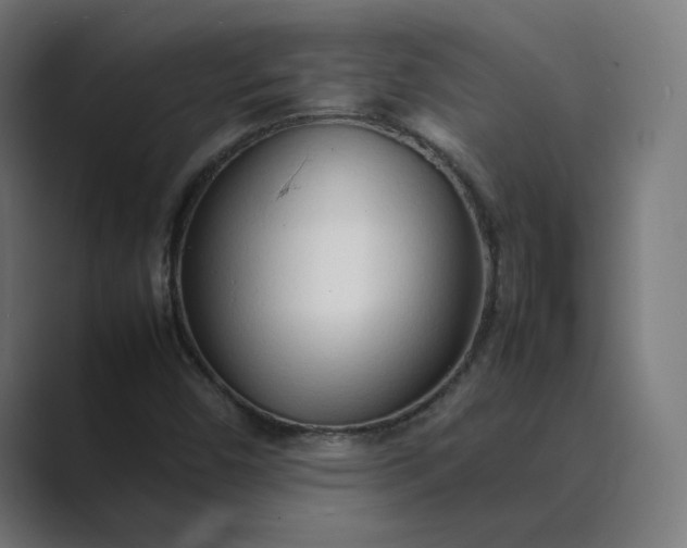 X0000089351450200706291012