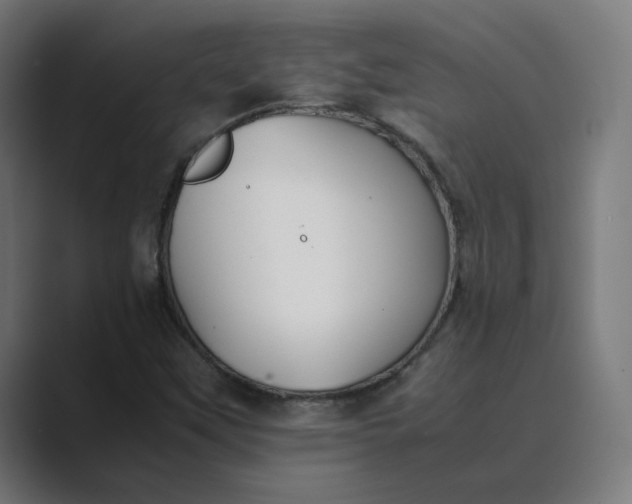 X0000089351451200706291012