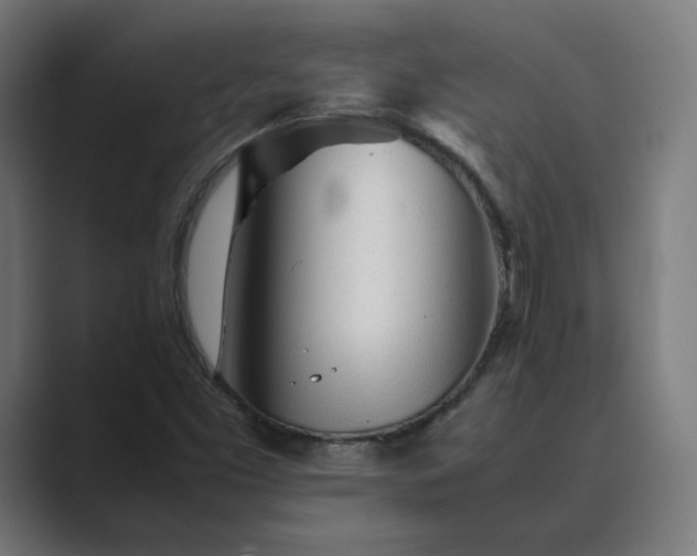 X0000089351453200706291012