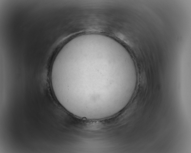 X0000089351454200706291012
