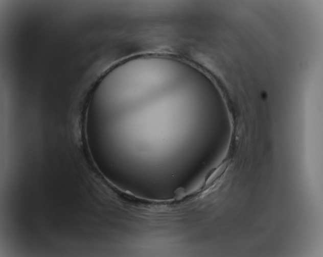 X0000089351455200706291012