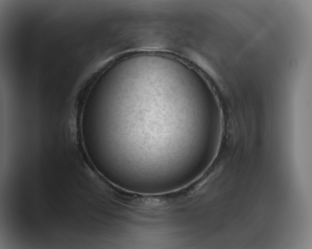 X0000089351456200706291012