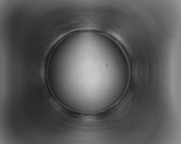 X0000089351460200706291011