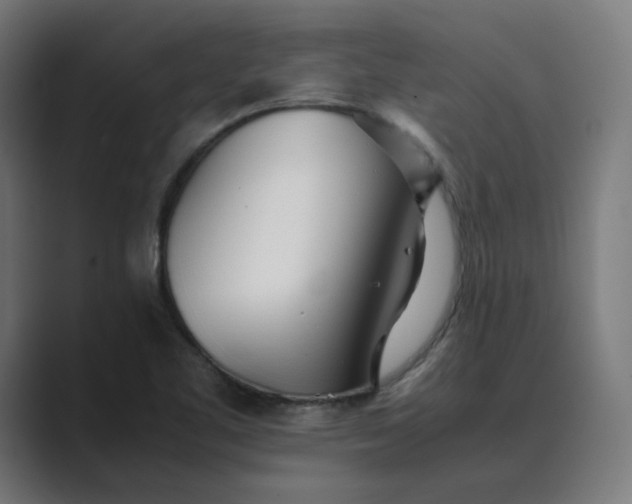 X0000089351461200706291011