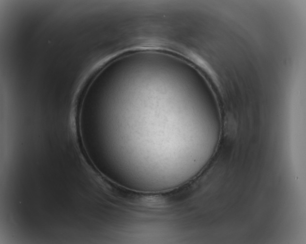 X0000089351464200706291011